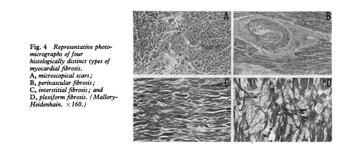 <figure 2>